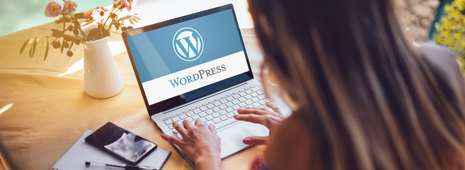 Save time and money translating your WordPress website